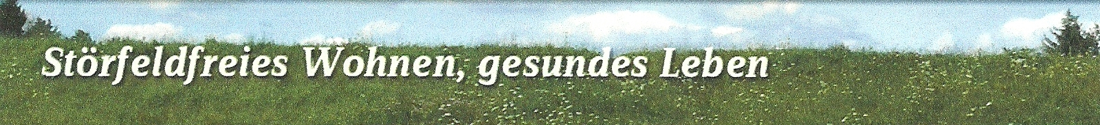 Banner4