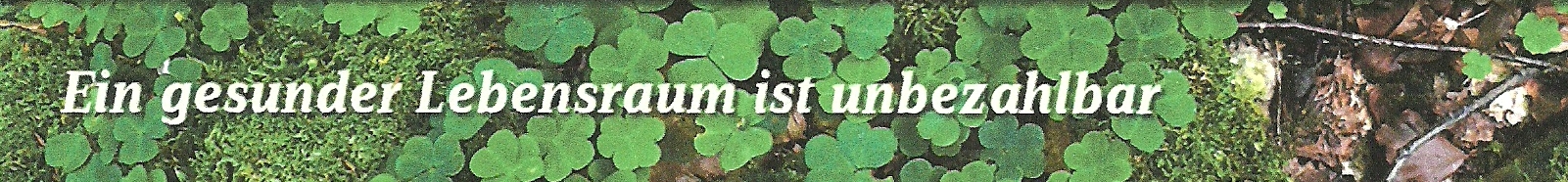Banner6